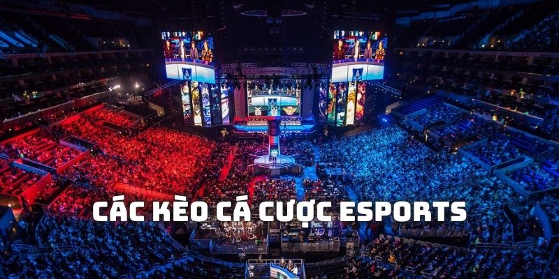 Danh sách các loại kèo cá cược Esports