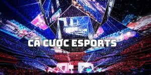 Cá cược esports Bet88